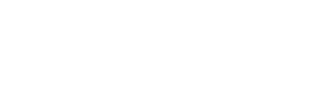 America Wild Horse Conservation